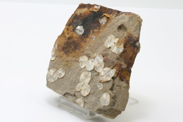 Wavellit – Bild 3