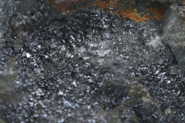 Schafranekit – Bild 16