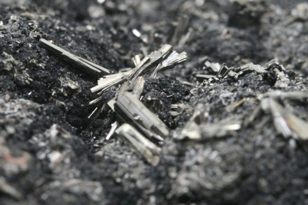 Hutchinsonit – Bild 9