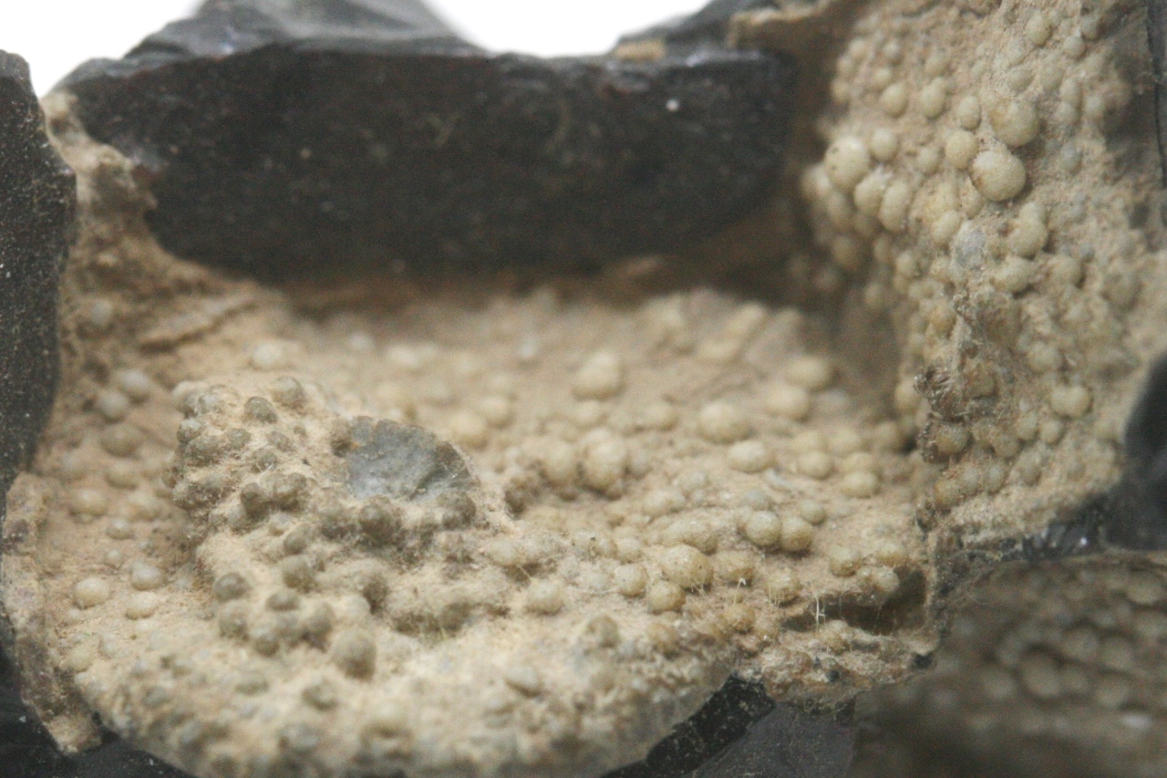 Cristobalit – Bild 7