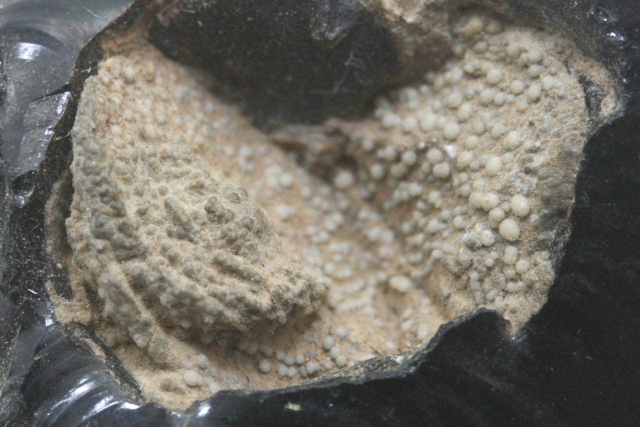 Cristobalit – Bild 9