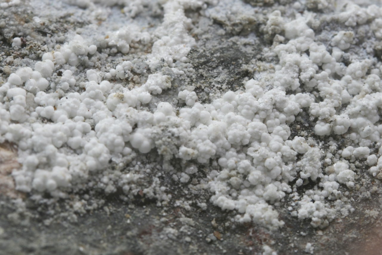 Pikropharmakolith, Brassoit – Bild 8