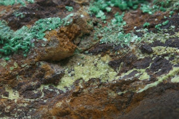 Saleeit, Torbernit – Bild 10