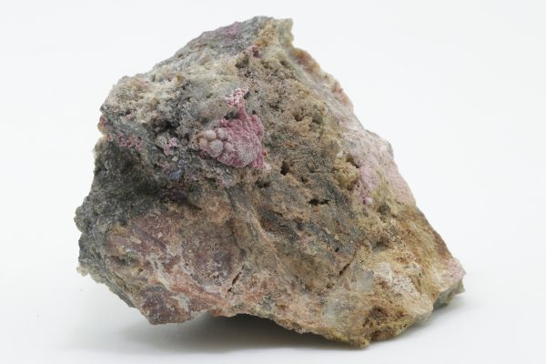 Köttigit – Bild 2