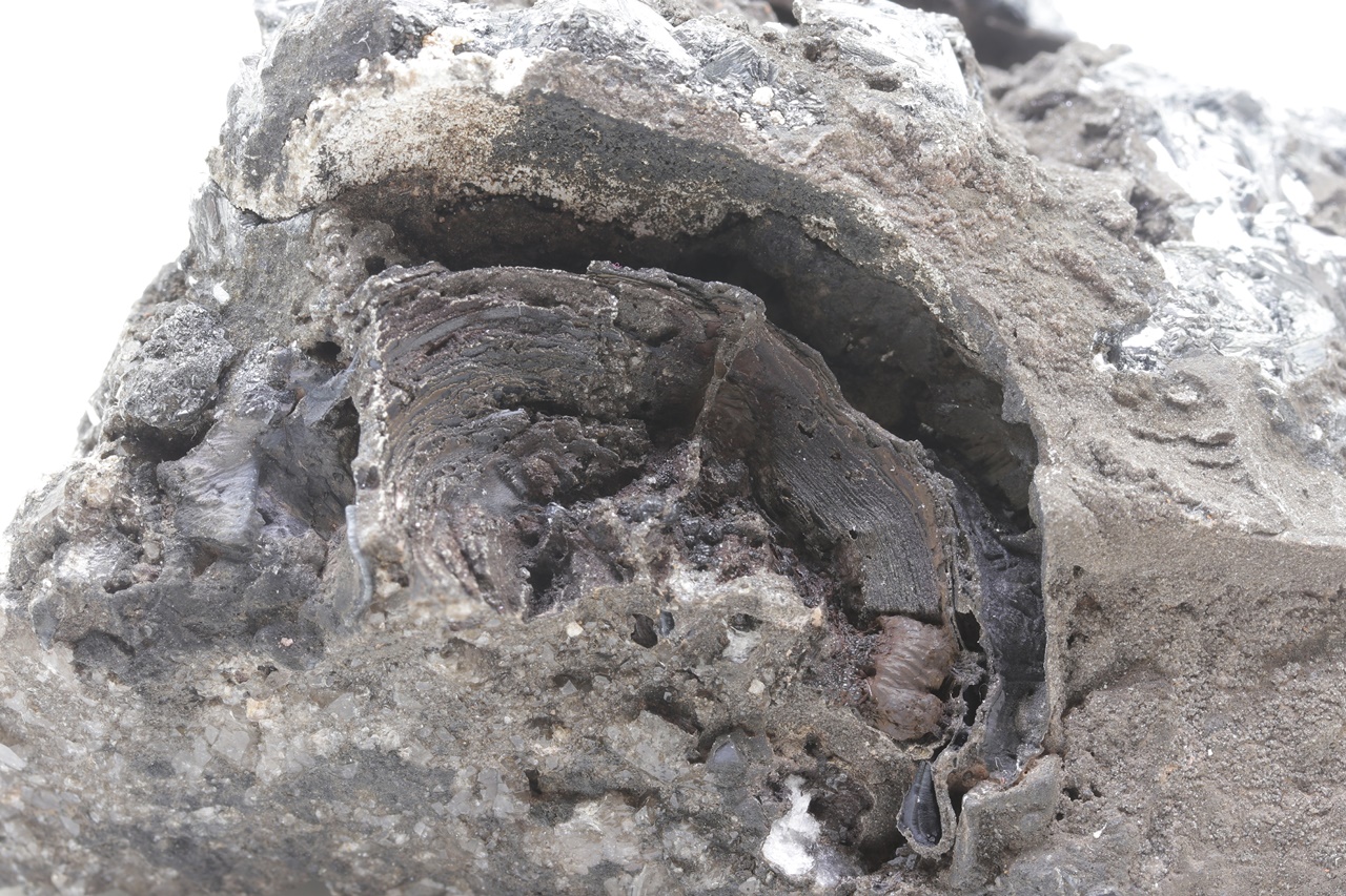 Pyrolusit, Quarz – Bild 7