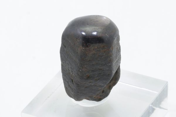 Sternkorund – Bild 2
