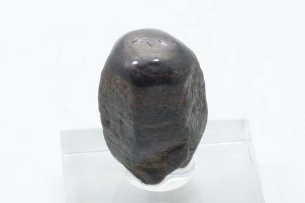 Sternkorund – Bild 3