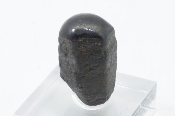 Sternkorund – Bild 5