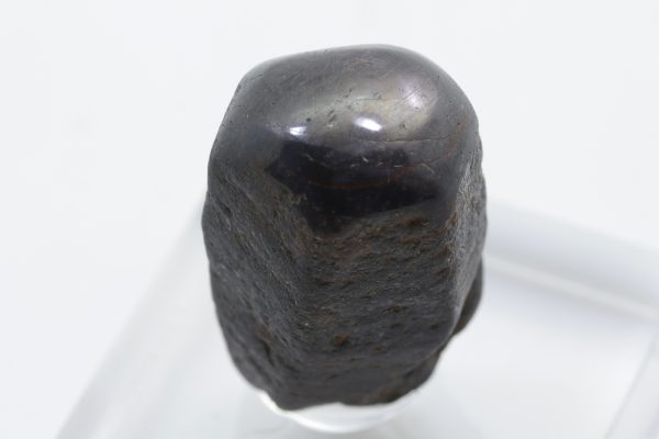 Sternkorund – Bild 9