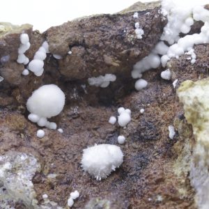 Picropharmakolith