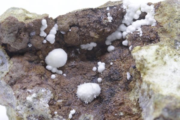 Picropharmakolith