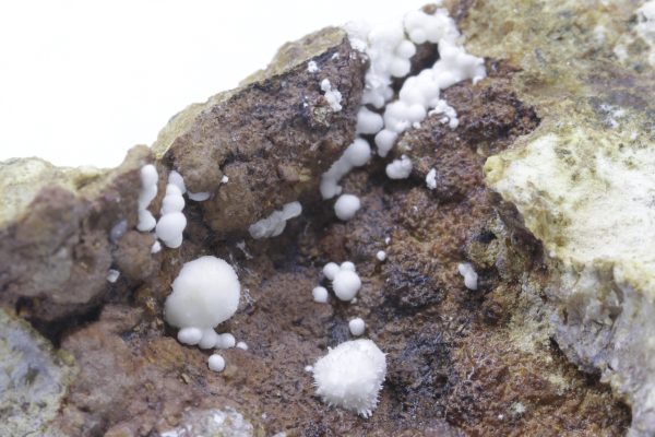 Picropharmakolith – Bild 5