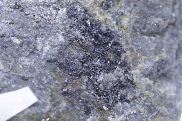 Schafarzikit – Bild 6