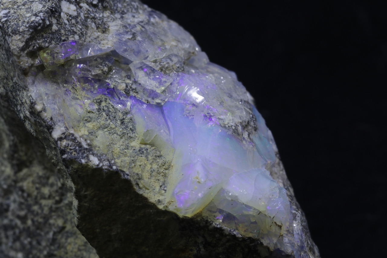 Edelopal