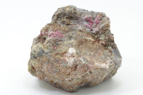 Köttigit – Bild 3