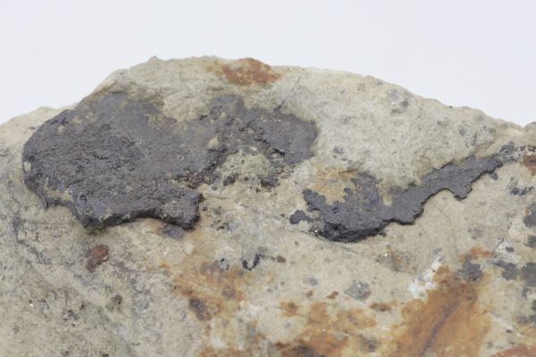 Silber, Argentit – Bild 5