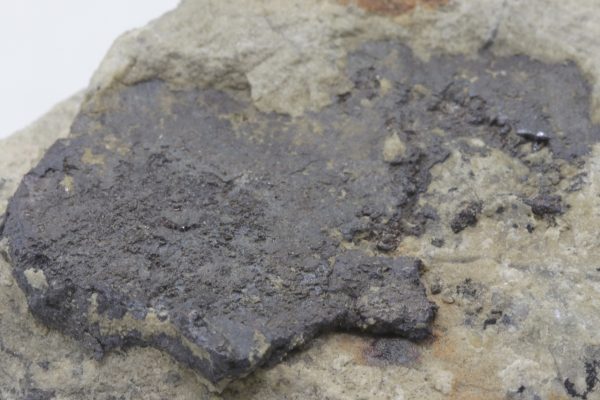Silber, Argentit – Bild 6
