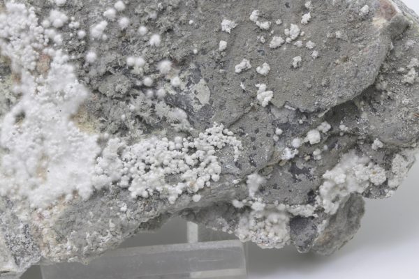 Picropharmacolith – Bild 9