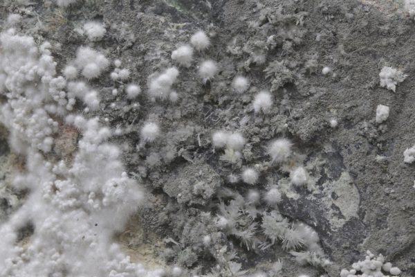 Picropharmacolith – Bild 14