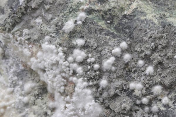 Picropharmacolith – Bild 17