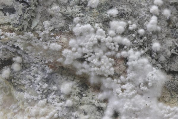 Picropharmacolith – Bild 20