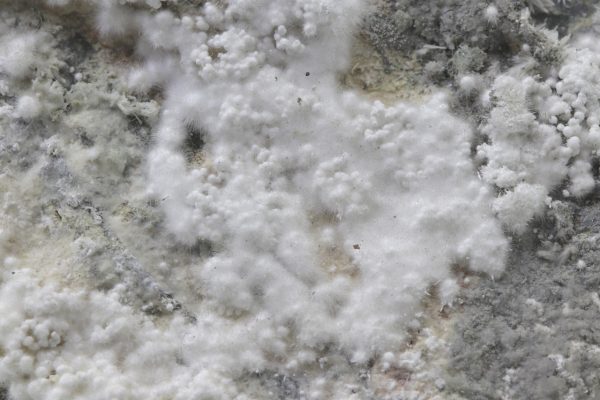 Picropharmacolith – Bild 21