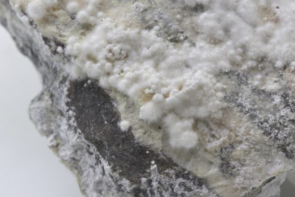 Picropharmacolith – Bild 22