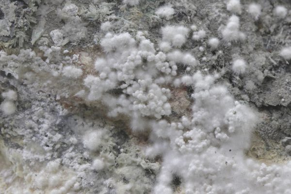 Picropharmacolith – Bild 23