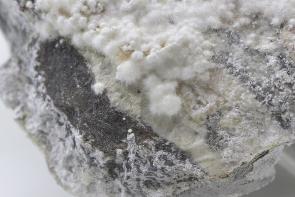 Picropharmacolith – Bild 26