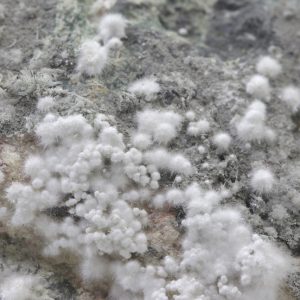 Picropharmacolith