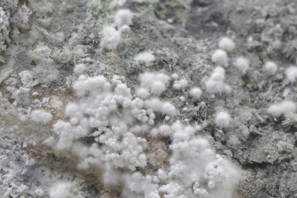 Picropharmacolith