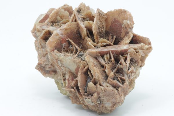 Baryt, Fluorit – Bild 2