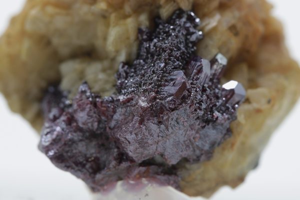 Proustit – Bild 9