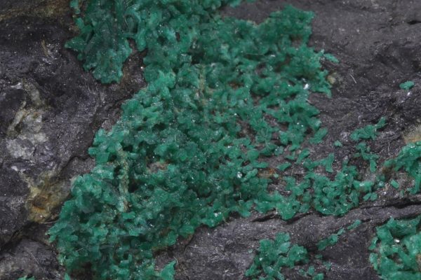 Euchroit – Bild 6