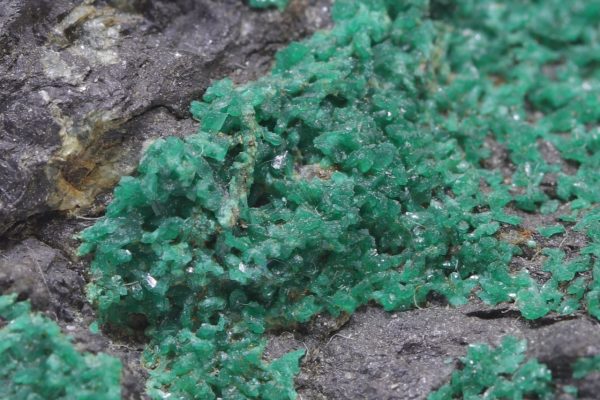 Euchroit – Bild 9