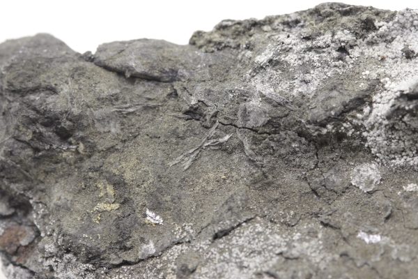 Brandholzit – Bild 6