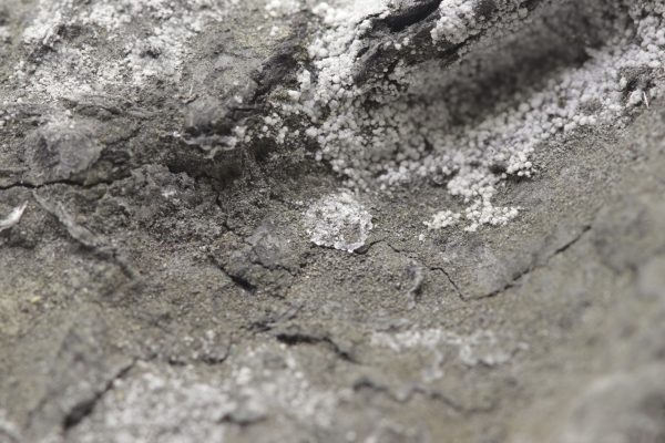 Brandholzit – Bild 8