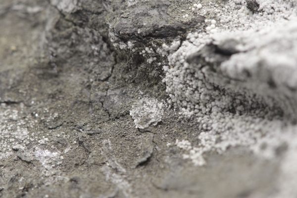 Brandholzit – Bild 9