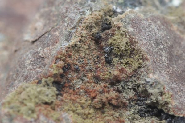 Nickelin, Argentit – Bild 6