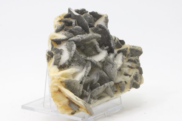 Calcit, Pyrit – Bild 2