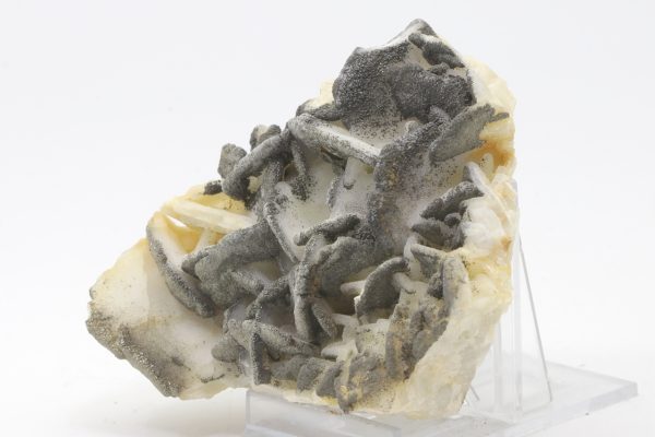 Calcit, Pyrit – Bild 4