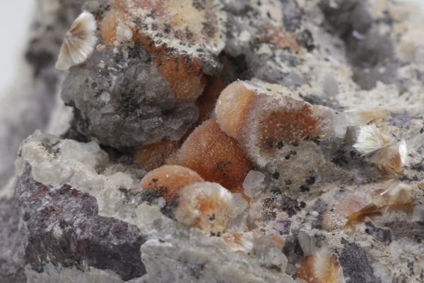 Ferrierit – Bild 5