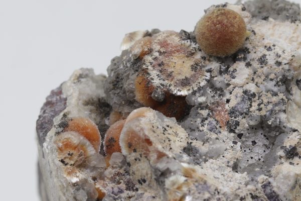 Ferrierit – Bild 6