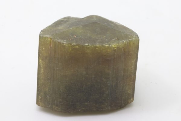 Elbait – Bild 2