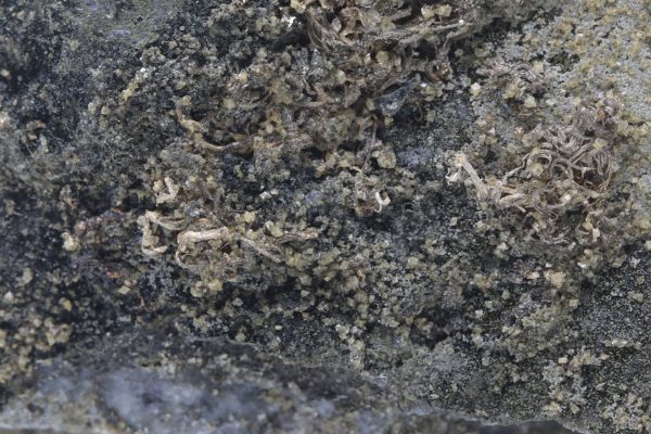 Silber – Bild 7