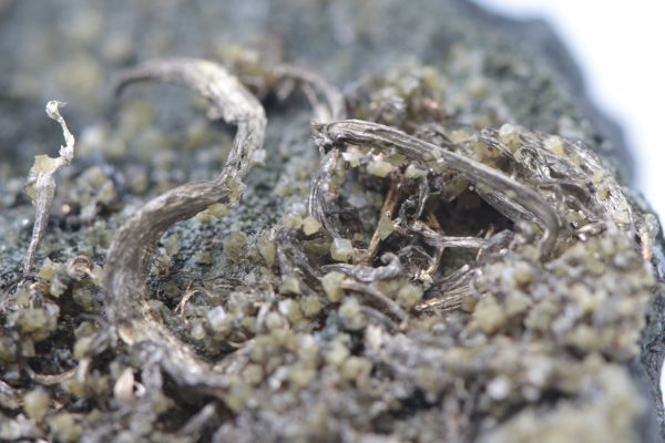Silber – Bild 8