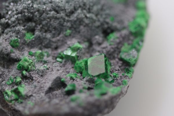 Uvarovit, Titanit – Bild 10