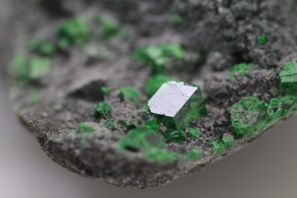 Uvarovit, Titanit – Bild 12