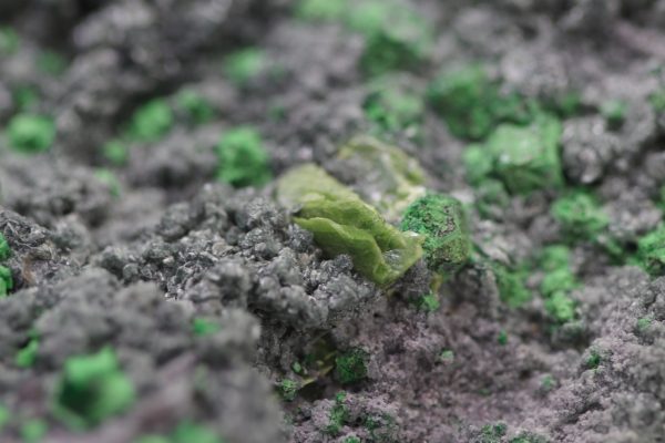 Uvarovit, Titanit – Bild 14