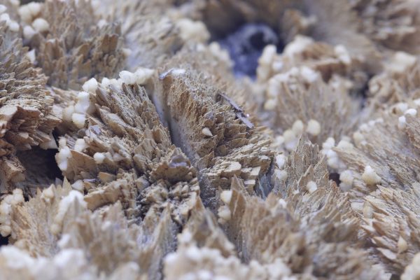Sphalerit, Dolomit – Bild 4